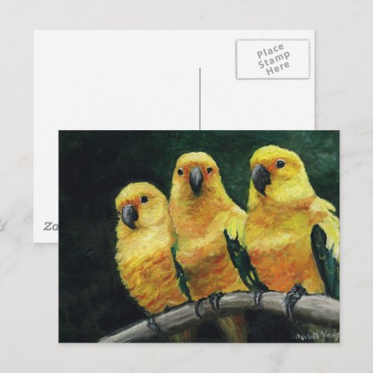 "Three Sun Conures" Bird Art Briefkaart (Voorkant / Achterkant)