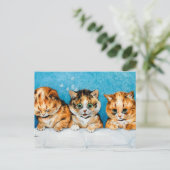 Three Sweet Little Kittens, Din-din Please. Briefkaart (Staand voorkant)