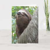Three Toed Sloth Wenskaart Kaart (Voorkant)