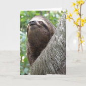 Three Toed Sloth Wenskaart Kaart (Gele Bloem)