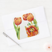 Three tulip studies in a sure 2013 vierkante sticker (Envelop)