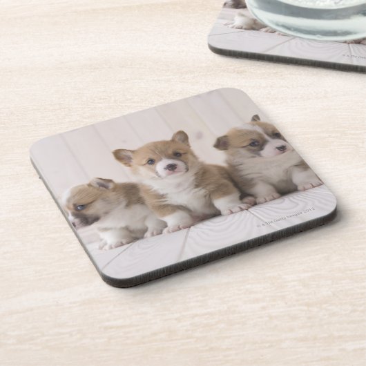 Three Welsh Corgi Drankjes Onderzetter (Linkerzijde)