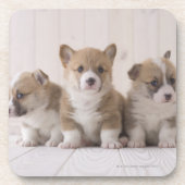 Three Welsh Corgi Drankjes Onderzetter (Voorkant)