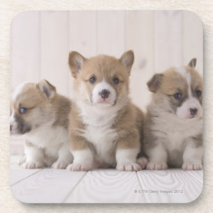 Three Welsh Corgi Drankjes Onderzetter