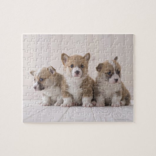 Three Welsh Corgi Legpuzzel (Horizontaal)