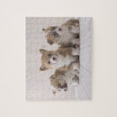 Three Welsh Corgi Legpuzzel (Verticaal)