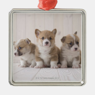 Three Welsh Corgi Metalen Ornament