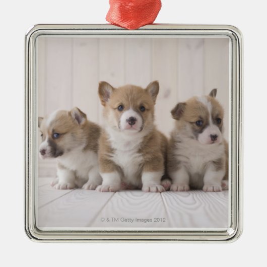 Three Welsh Corgi Metalen Ornament (Voorkant)