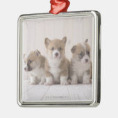 Three Welsh Corgi Metalen Ornament (Links)