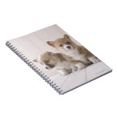 Three Welsh Corgi Notitieboek (Rechterzijde)