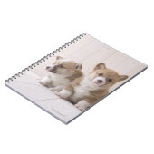 Three Welsh Corgi Notitieboek (Linkerzijde)