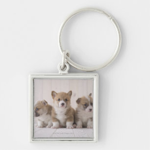 Three Welsh Corgi Sleutelhanger