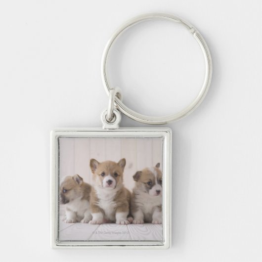 Three Welsh Corgi Sleutelhanger (Voorkant)