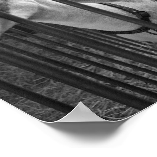 ThreeAmigos Poster (Hoek)