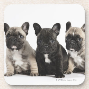 Threee Pedigree Puppies Bier Onderzetter