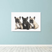 Threee Pedigree Puppies Canvas Afdruk (Insitu (Houten vloer))
