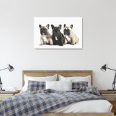 Threee Pedigree Puppies Canvas Afdruk (Insitu (Slaapkamer))