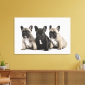 Threee Pedigree Puppies Canvas Afdruk (Insitu (Woonkamer))