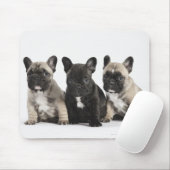 Threee Pedigree Puppies Muismat (Met muis)