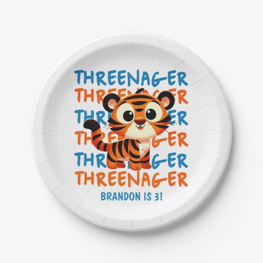 Threenager Tiger Boy 3e Verjaardagsfeestje Papieren Bordje (Voorkant)