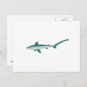 Thresher Shark Briefkaart (Voorkant / Achterkant)