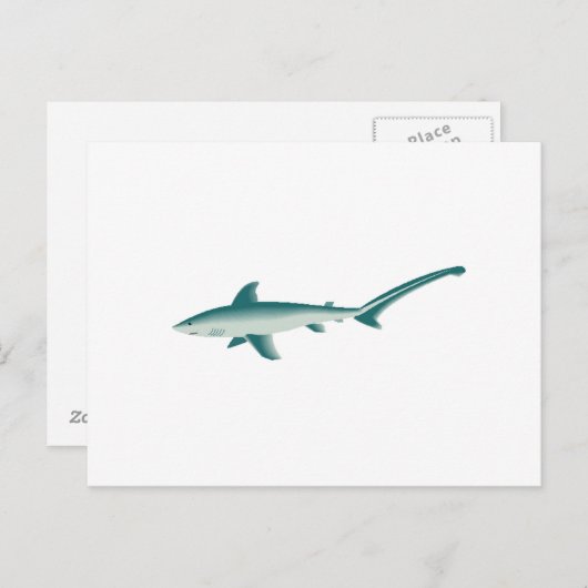 Thresher Shark Briefkaart (Voorkant / Achterkant)