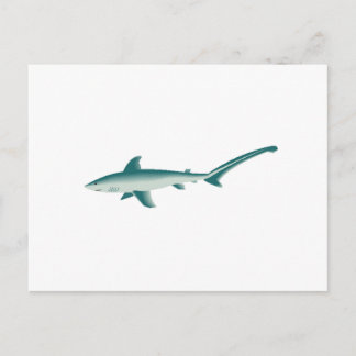 Thresher Shark Briefkaart