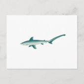 Thresher Shark Briefkaart (Voorkant)
