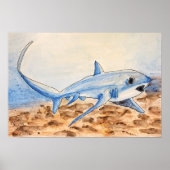 Thresher Shark Poster (Voorkant)