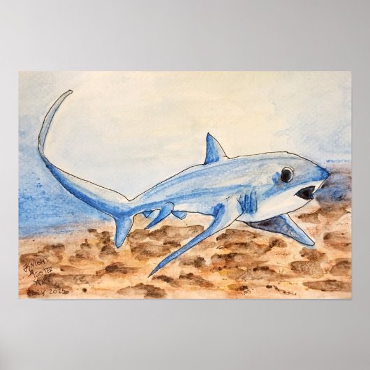Thresher Shark Poster (Voorkant)
