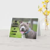 *THRILLED DOG ZENDT CONGRATULATIE AAN U* KAART (Gele Bloem)