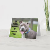 *THRILLED DOG ZENDT CONGRATULATIE AAN U* KAART (Voorkant)