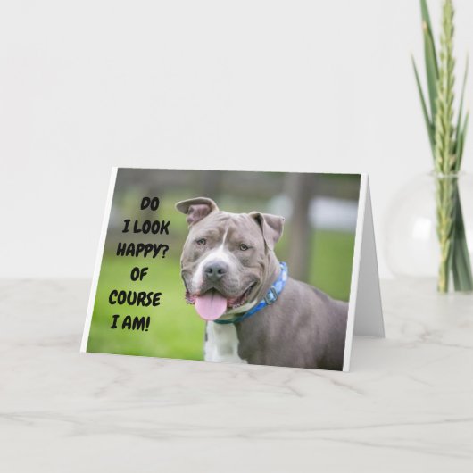 *THRILLED DOG ZENDT CONGRATULATIE AAN U* KAART (Voorkant)