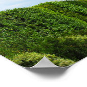 Throne in Heaven Poster (Hoek)