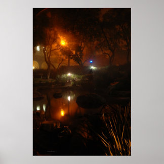 Throop in de mist poster