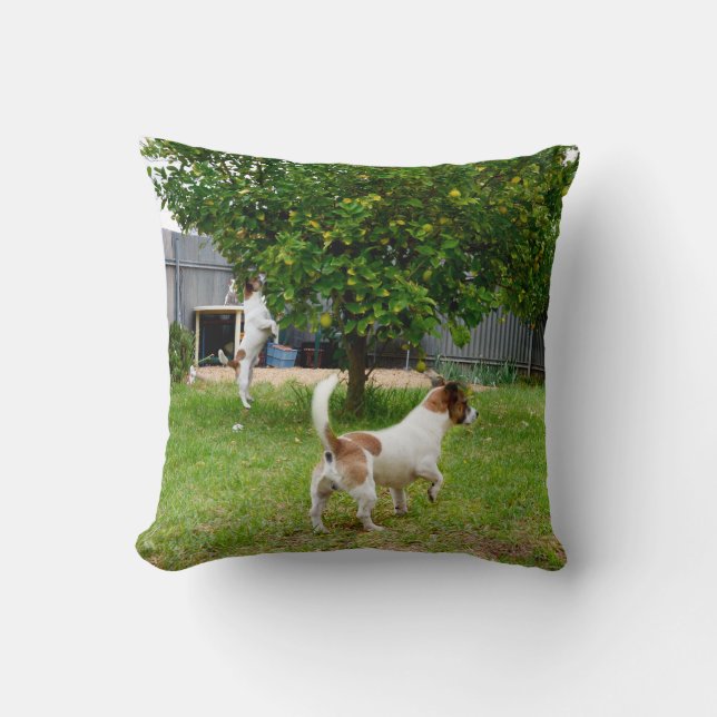 Throw Cushion voor fox Terrier Play Time Kussen (Voorkant)