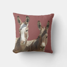 Throw kussen, wilde dieren, ezels, Oatman, Arizona