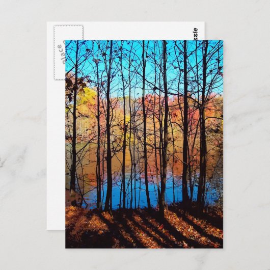 Thru Trees Briefkaart (Voorkant / Achterkant)