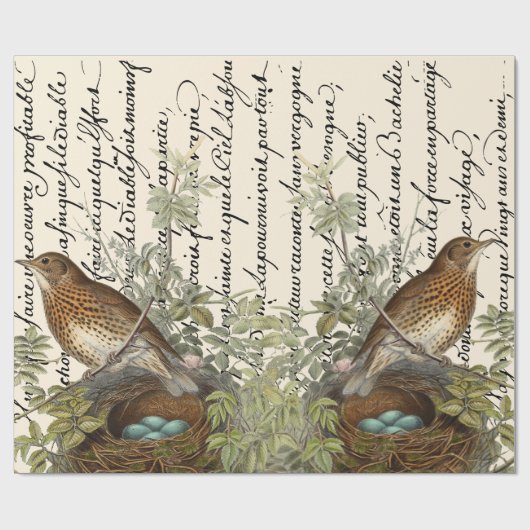 Thrush Bird en Nest French Script Cadeaupapier (Vlak)