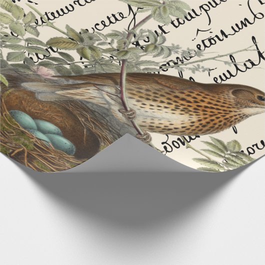 Thrush Bird en Nest French Script Cadeaupapier (Hoek)