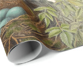 Thrush Bird en Nest French Script Cadeaupapier (Rol Hoek)