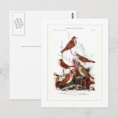 Thrushes Briefkaart (Voorkant / Achterkant)