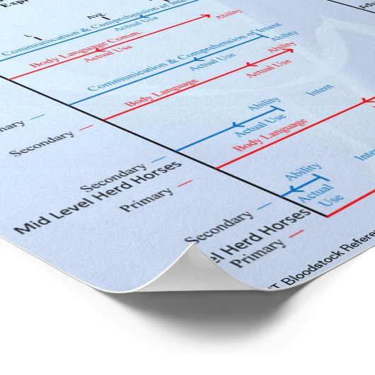 THTBloodstock Equine Communication Chart Poster (Hoek)