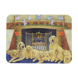 Thuis en gezondheid magneet