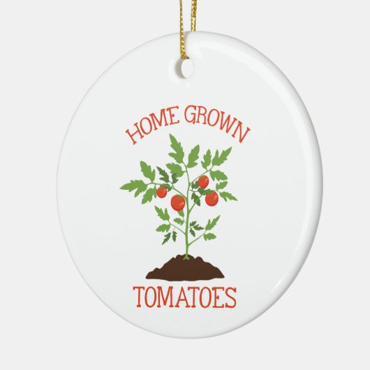 Thuis gegroeid keramisch ornament (Links)