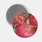Thuis gekweekte tomaten magneet (Voorkant / Achterkant)