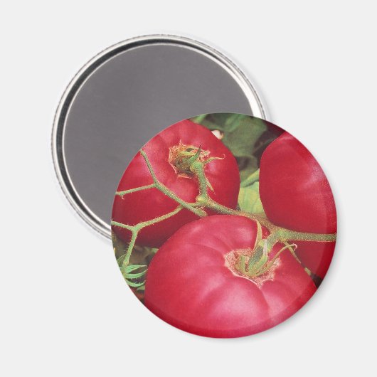 Thuis gekweekte tomaten magneet (Voorkant / Achterkant)
