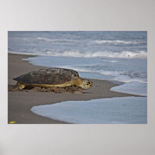 Thuis II Poster (Voorkant)