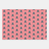 THUIS INPAKPAPIER VEL (Voorkant 3)