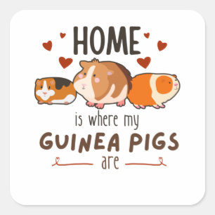 Thuis is de plaats waar de varkens in Mijn Guinee  Vierkante Sticker